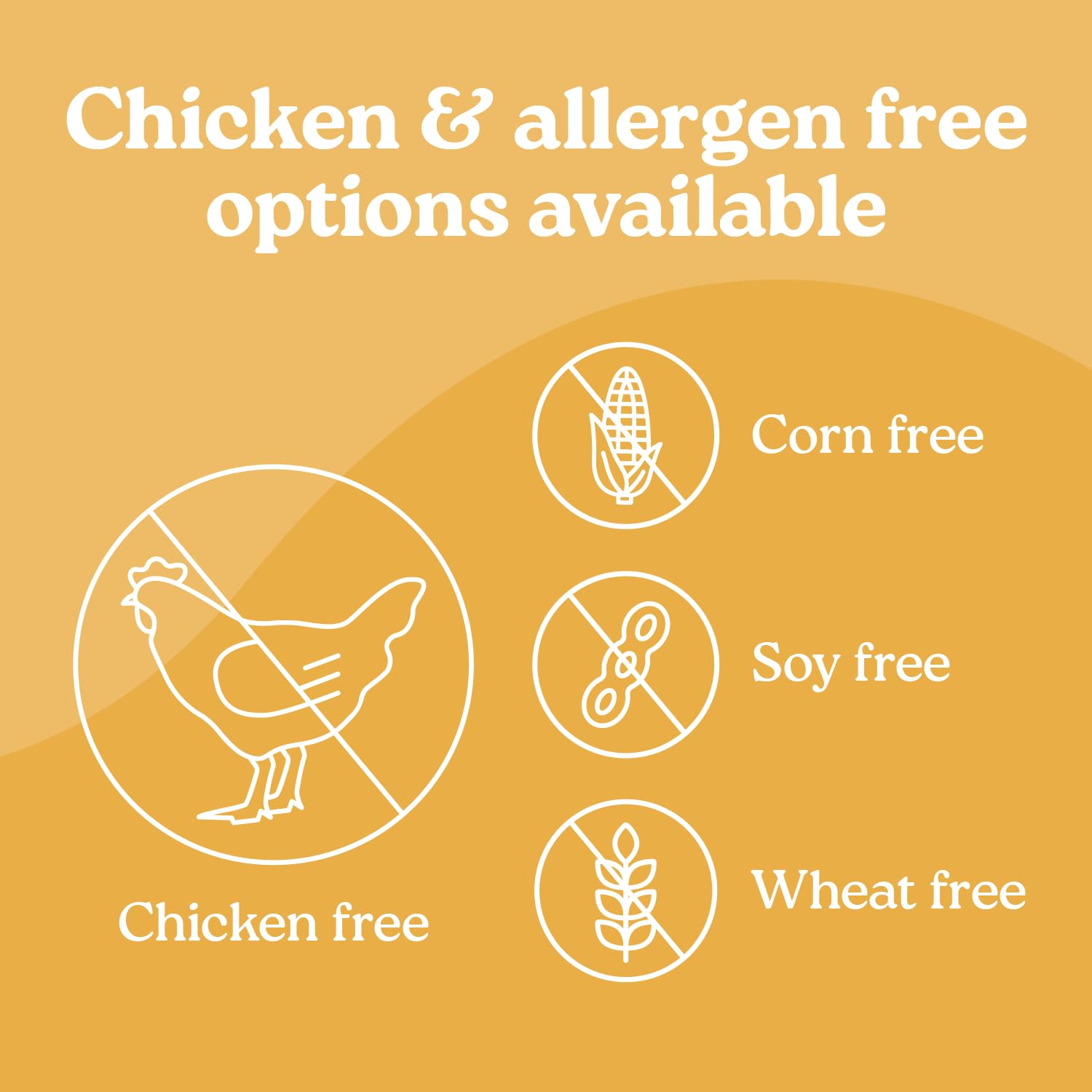 Presidio Earthly Pill Buddy ingredient-label closeup highlights corn-free, wheat-free, soy-free ingredients.
