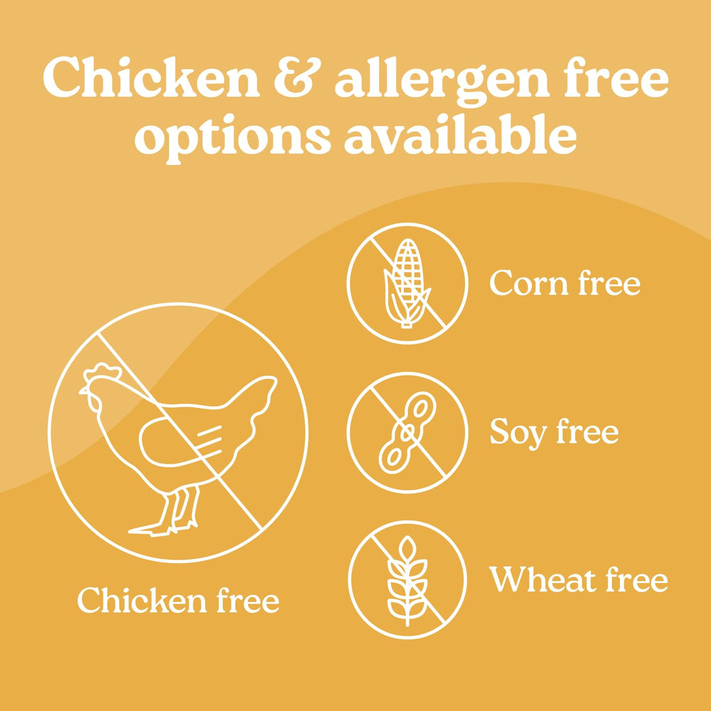 Presidio Earthly Pill Buddy ingredient-label closeup highlights corn-free, wheat-free, soy-free ingredients.