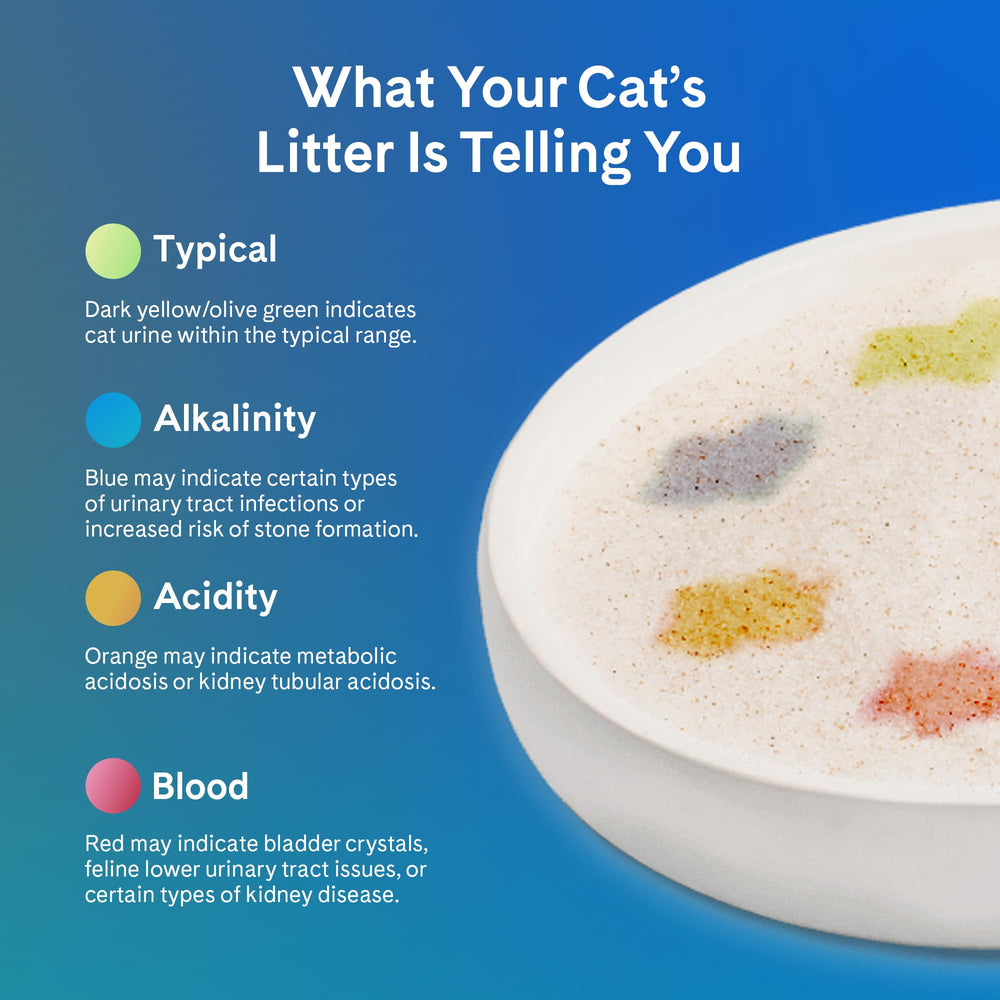 PrettyLitter compatible with standard and automatic litter boxes at home
