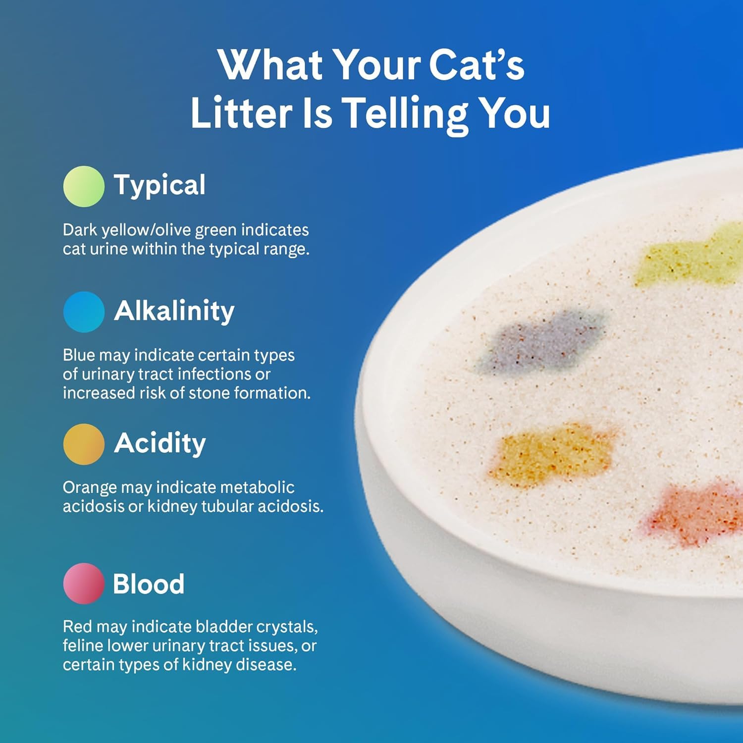 PrettyLitter litter-box-compatibility image shows versatile use with standard or automatic boxes.