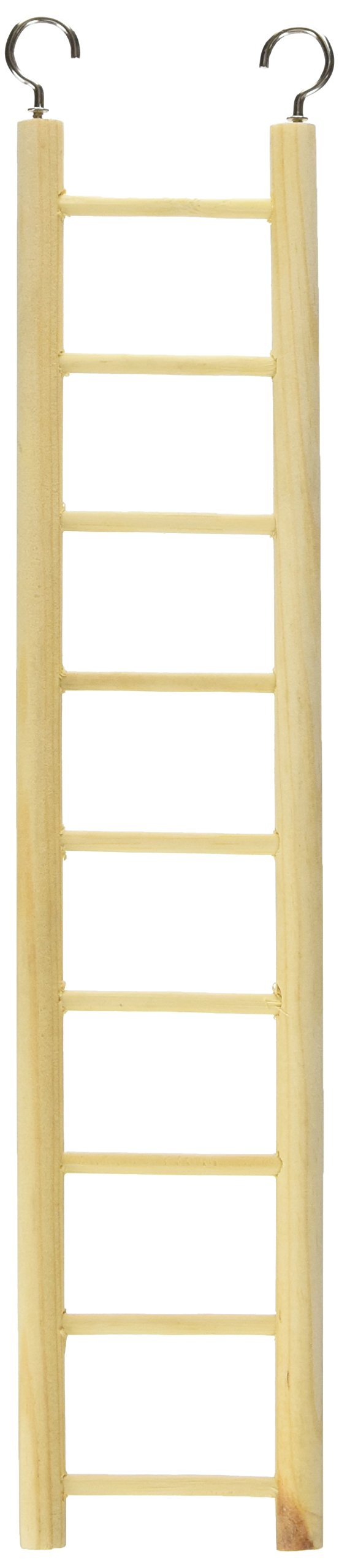 PH Prevue Hendryx BPV385 wood ladder 9-step perch promotes safe climbing and daily play.