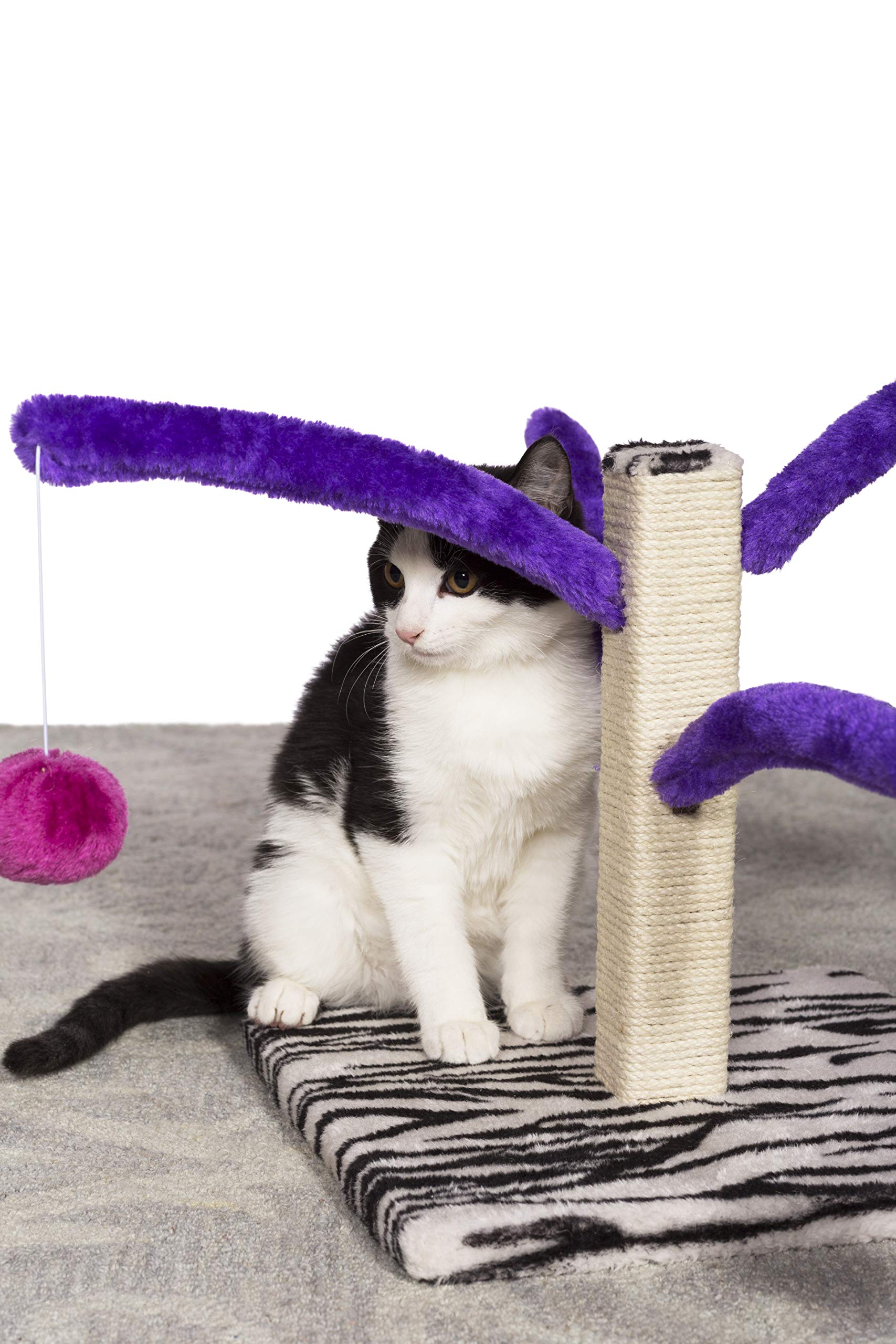 PH Prevue Hendryx Kitty Power Bounce Scratcher assembly view enables quick setup in minutes