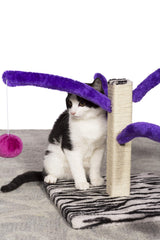 PH Prevue Hendryx Kitty Power Bounce Scratcher assembly view enables quick setup in minutes