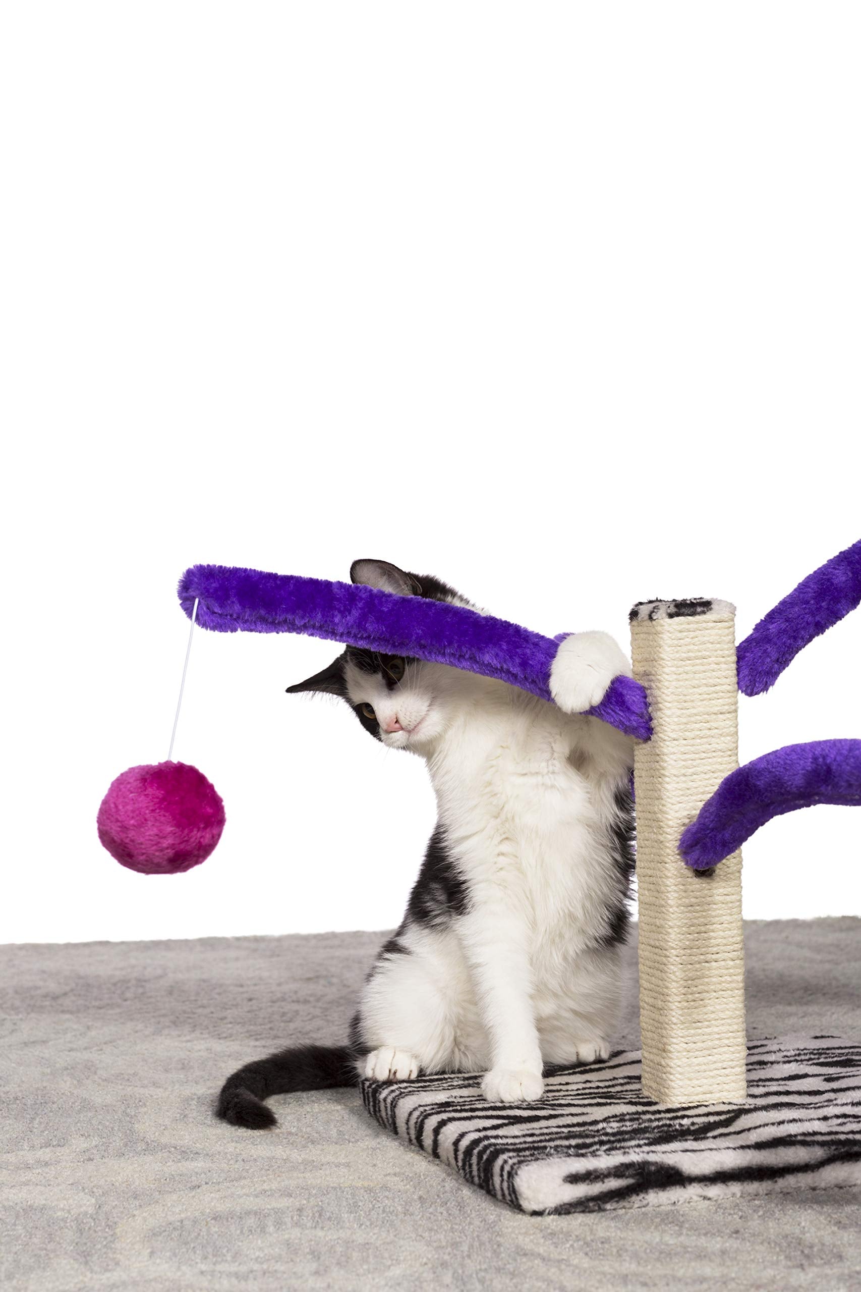 PH Prevue Hendryx Kitty Power Bounce Scratcher easy-assembly guides stress-free setup