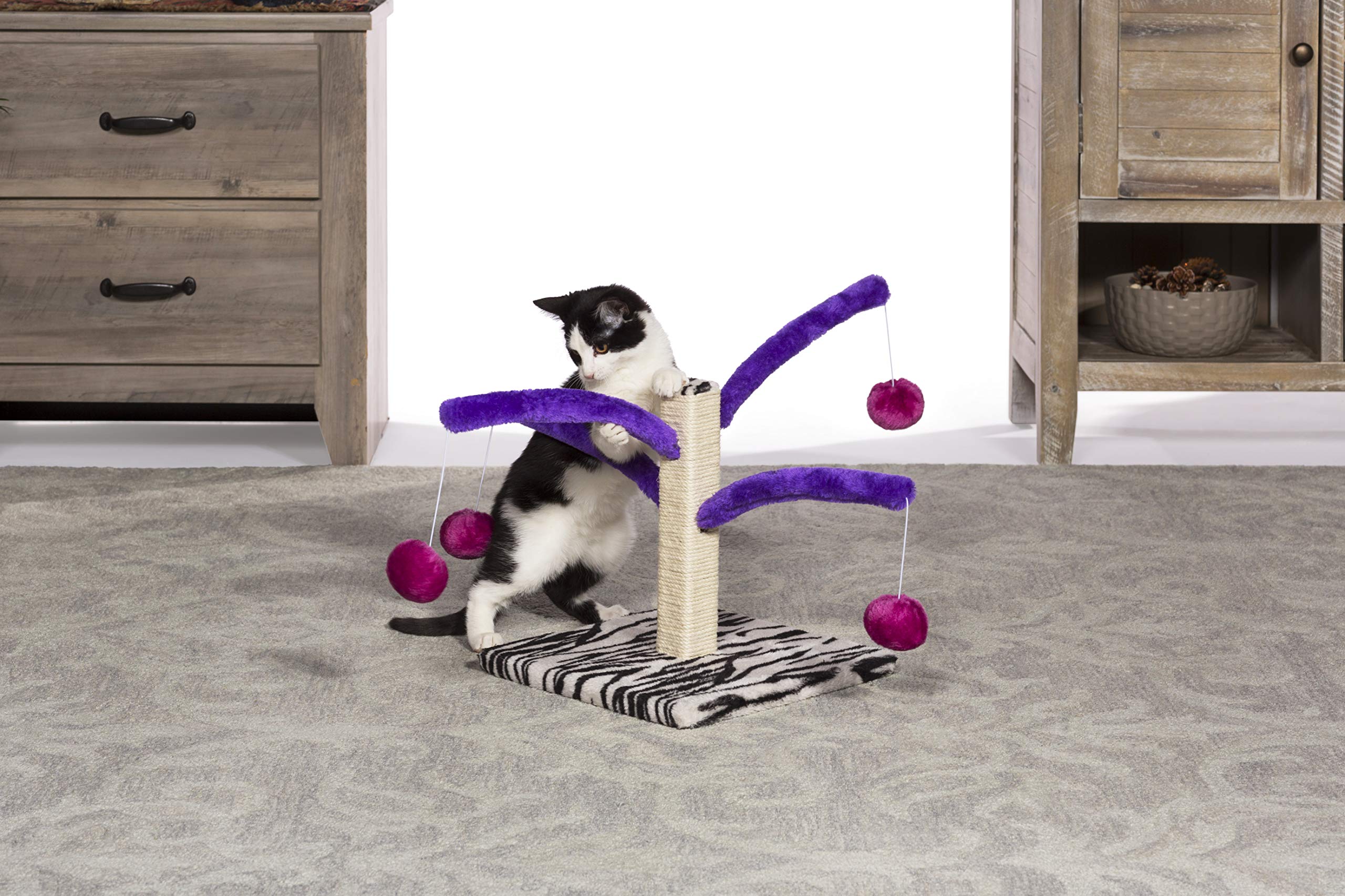 PH Prevue Hendryx Kitty Power Bounce Scratcher zebra-base showcases bold color contrast