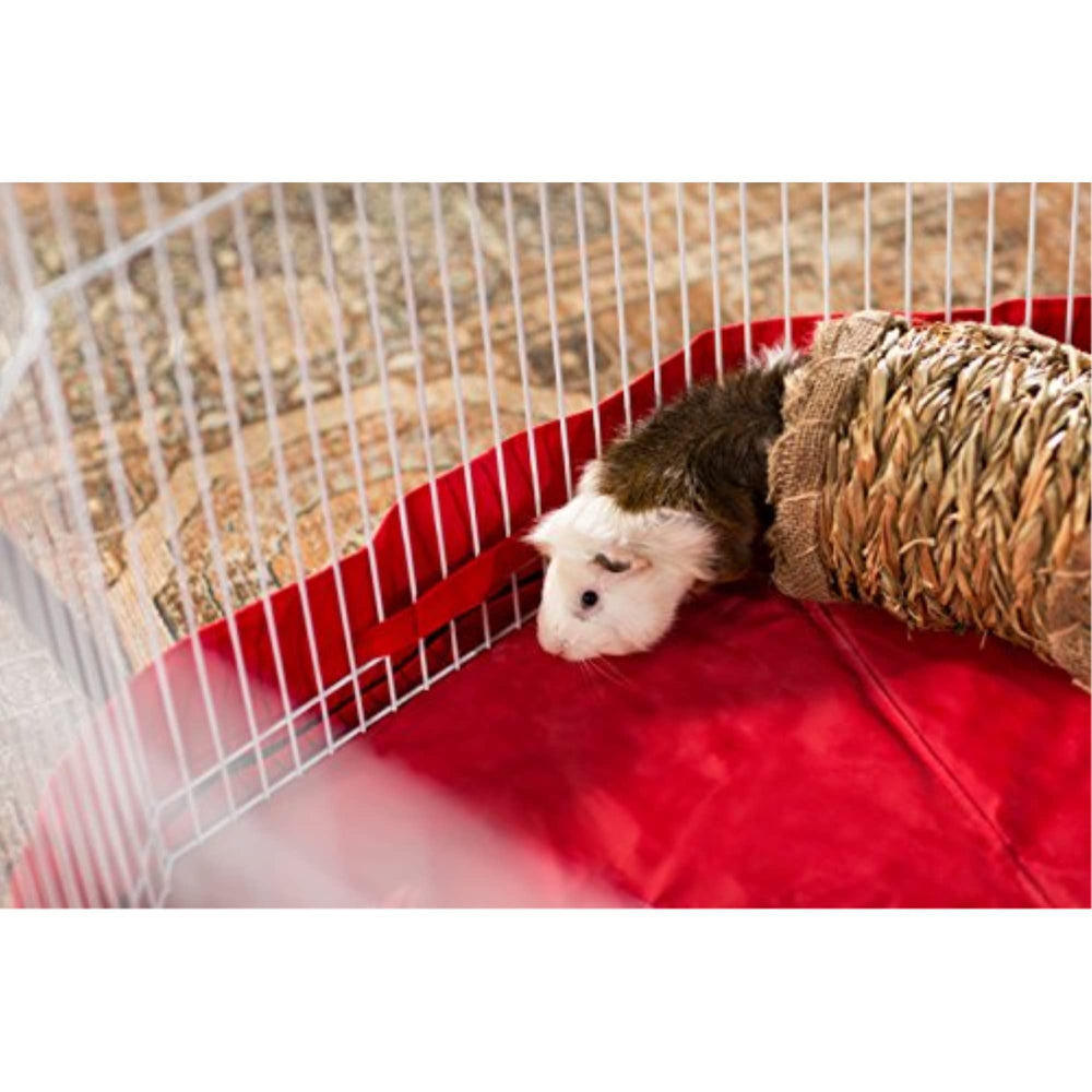 Prevue Hendryx Grass Tunnel in use by small pets for enrichment and exploration