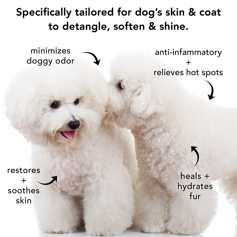 PRIDE AND GROOM dog coat beauty with hydrating cleanse from nourishing oils.
