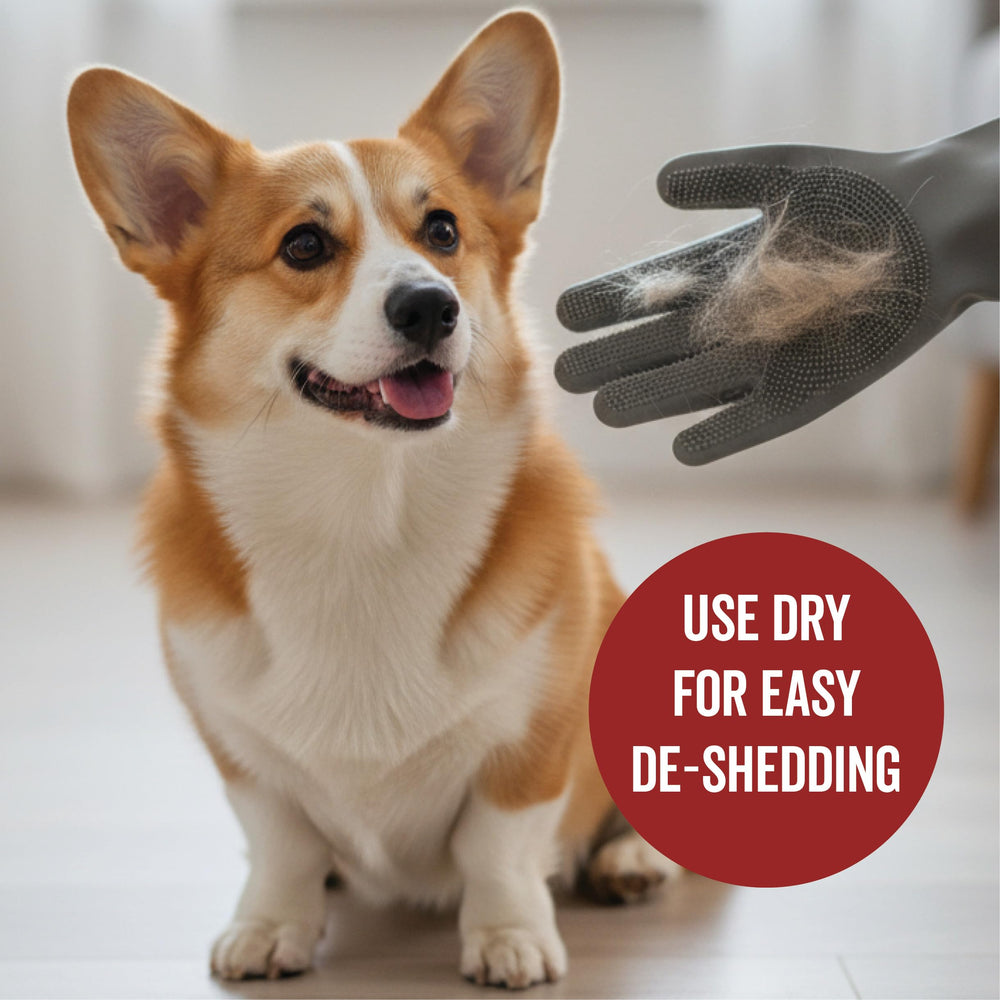 PRIDE AND GROOM DogDays Scrub Kit home grooming session for professional-quality results.