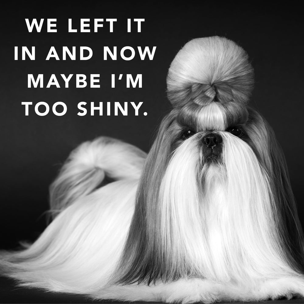 PRIDE AND GROOM All coat types photo shows versatile use across long and short-haired dogs.