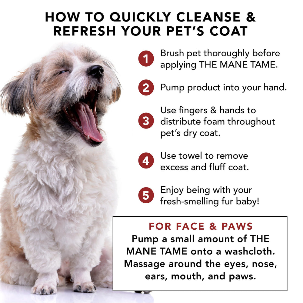 Pride and Groom Mane Tame foam-application demonstrates cat and dog suitability for quick refreshes.