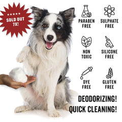 Pride and Groom Mane Tame deep-clean action lifts dirt without water.