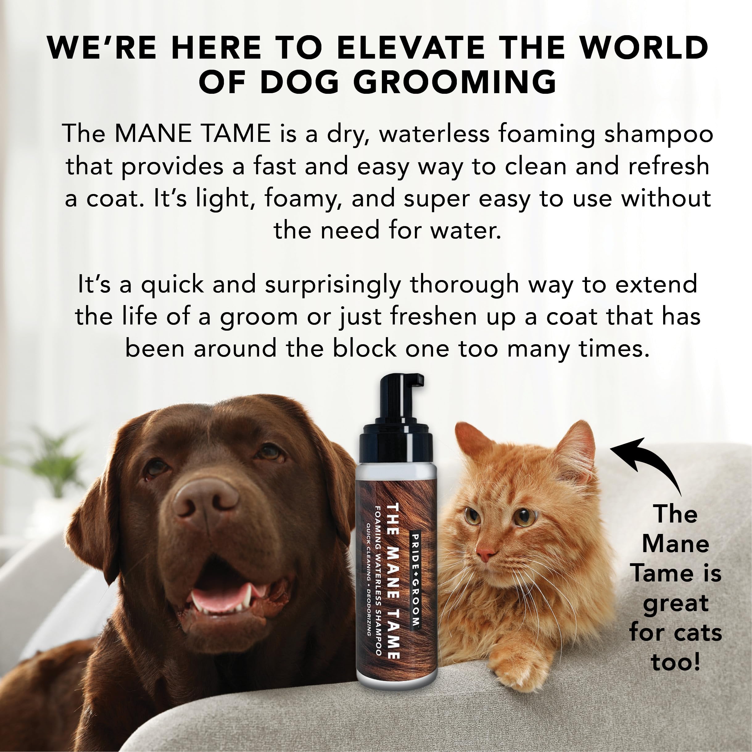 Pride and Groom Mane Tame on-the-go usage fits travel days and quick refreshes.