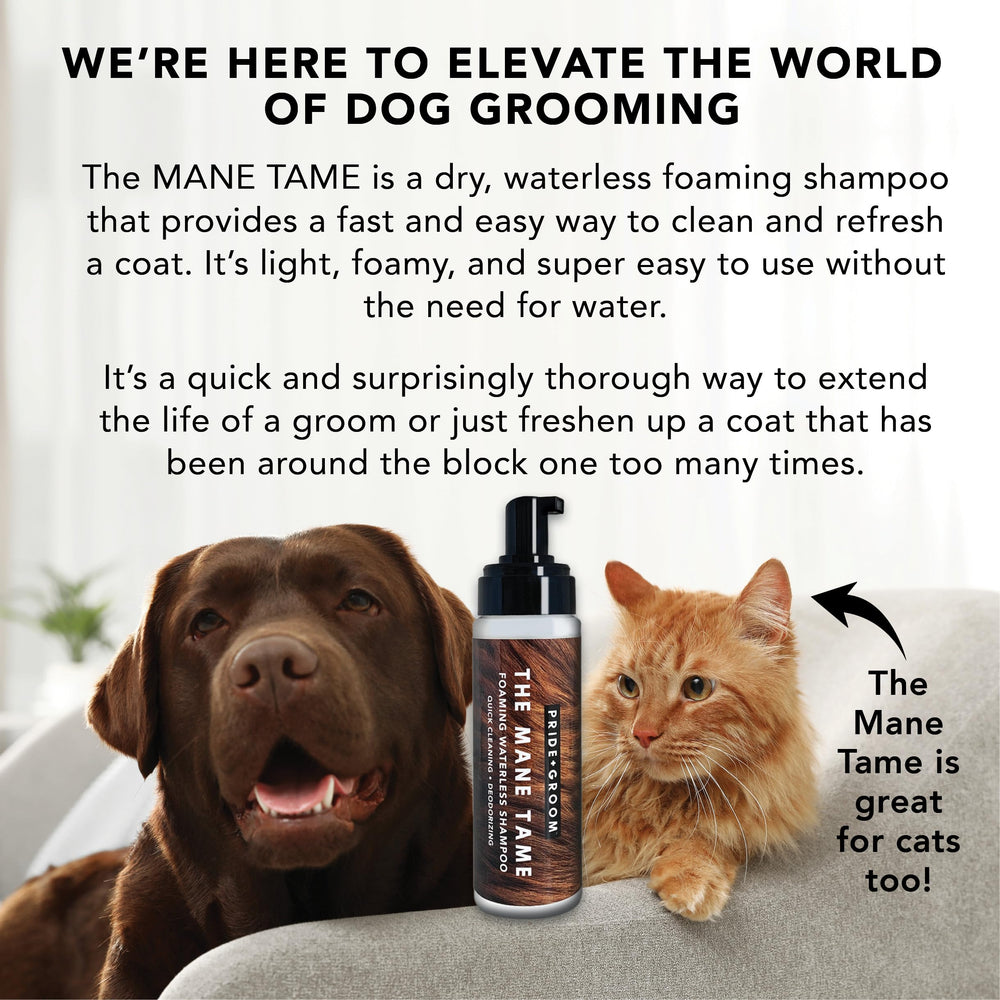 Pride and Groom Mane Tame on-the-go usage fits travel days and quick refreshes.