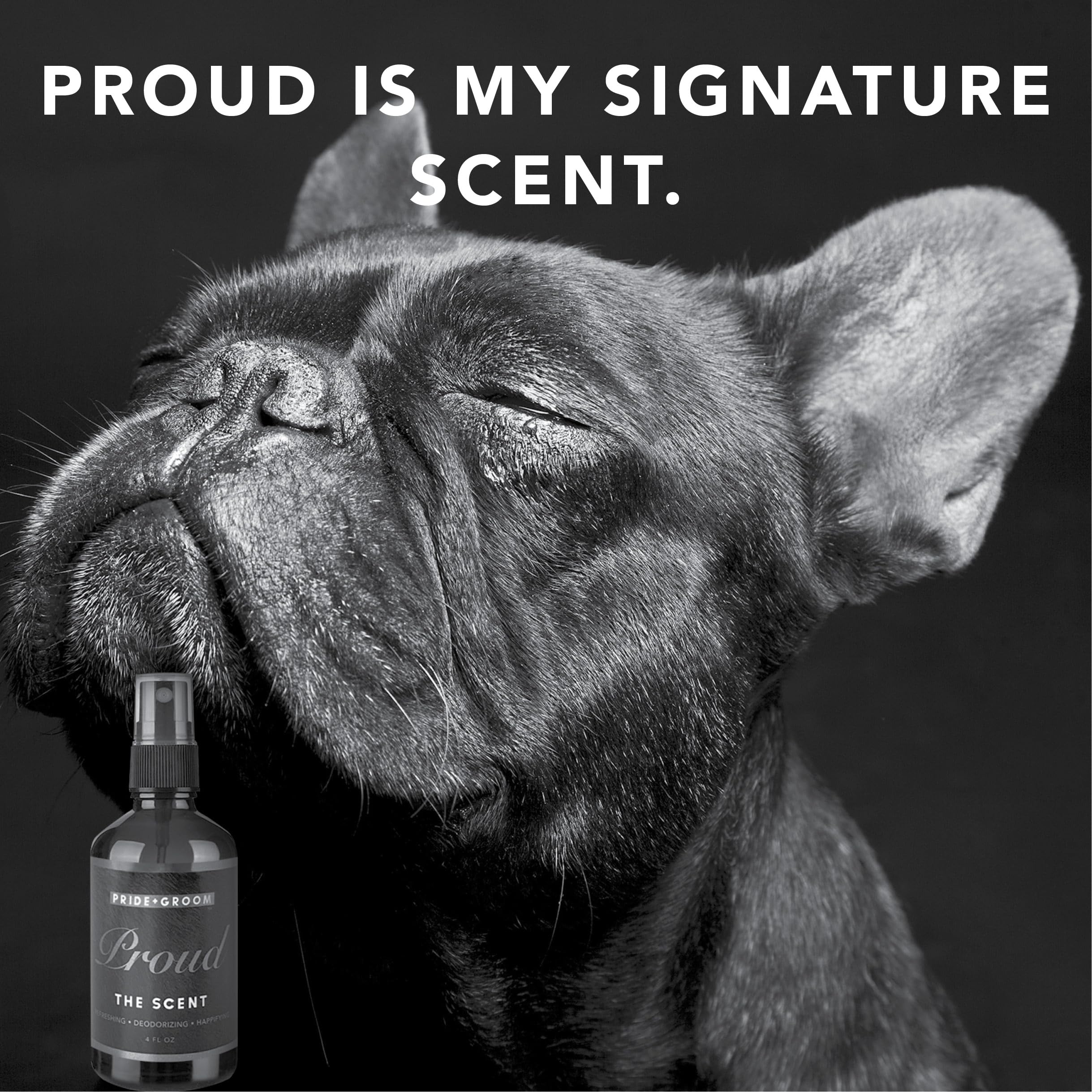 Pride and Groom Proud cruelty-free hypoallergenic formula for sensitive noses.