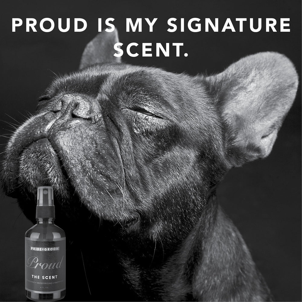 Pride and Groom Proud cruelty-free hypoallergenic formula for sensitive noses.