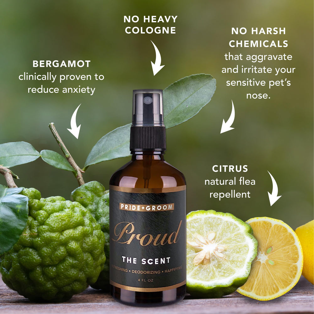 Pride and Groom Proud bergamot citrus ylang-ylang scent notes.