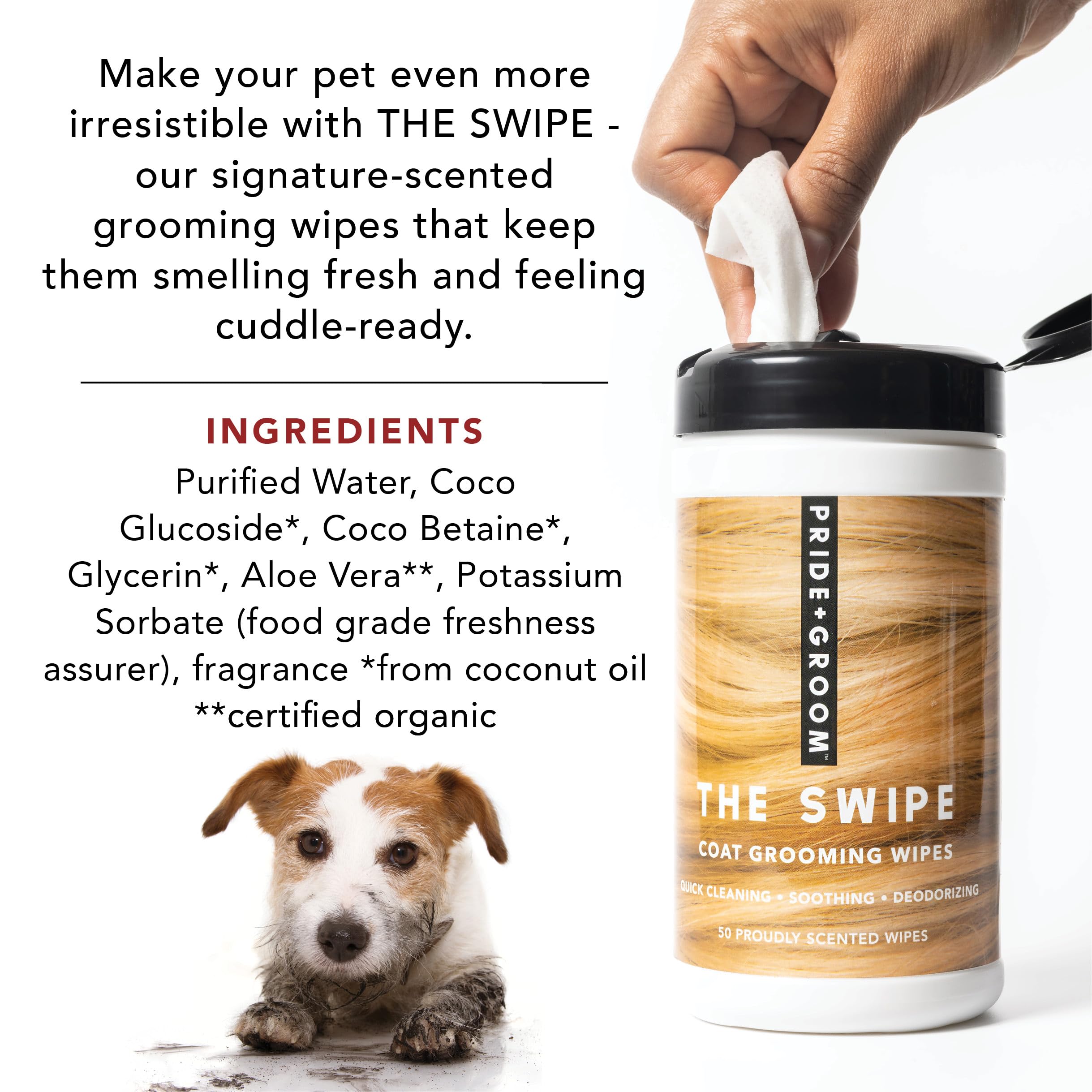 Pride and Groom The Swipe between-bath-use wipe for on-the-go touchups