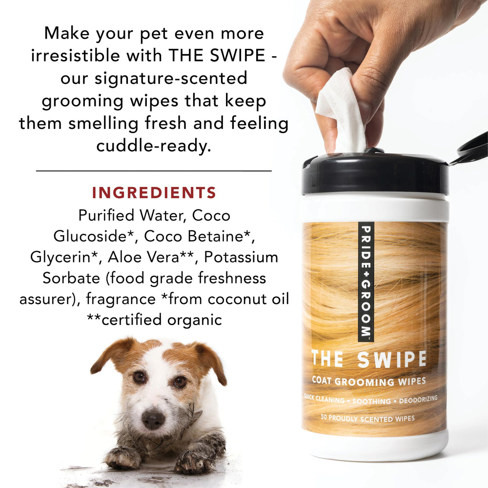Pride and Groom The Swipe between-bath-use wipe for on-the-go touchups
