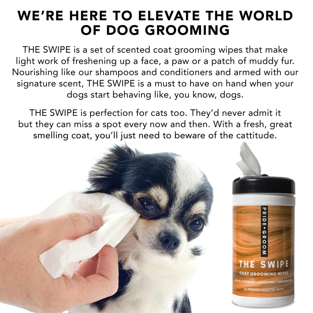 Pride and Groom The Swipe deodorizing-scent wipe for post-meal freshening