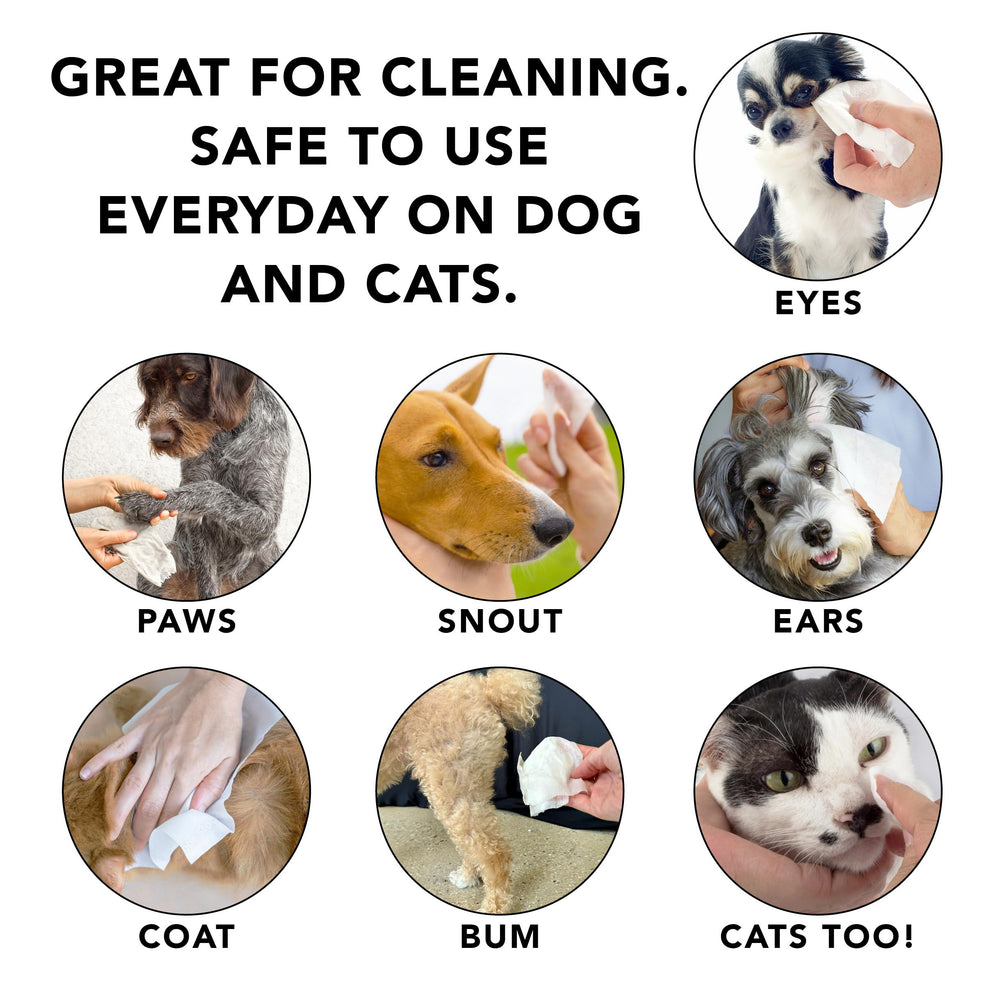 Pride and Groom The Swipe puppy-friendly formula safe for sensitive skin