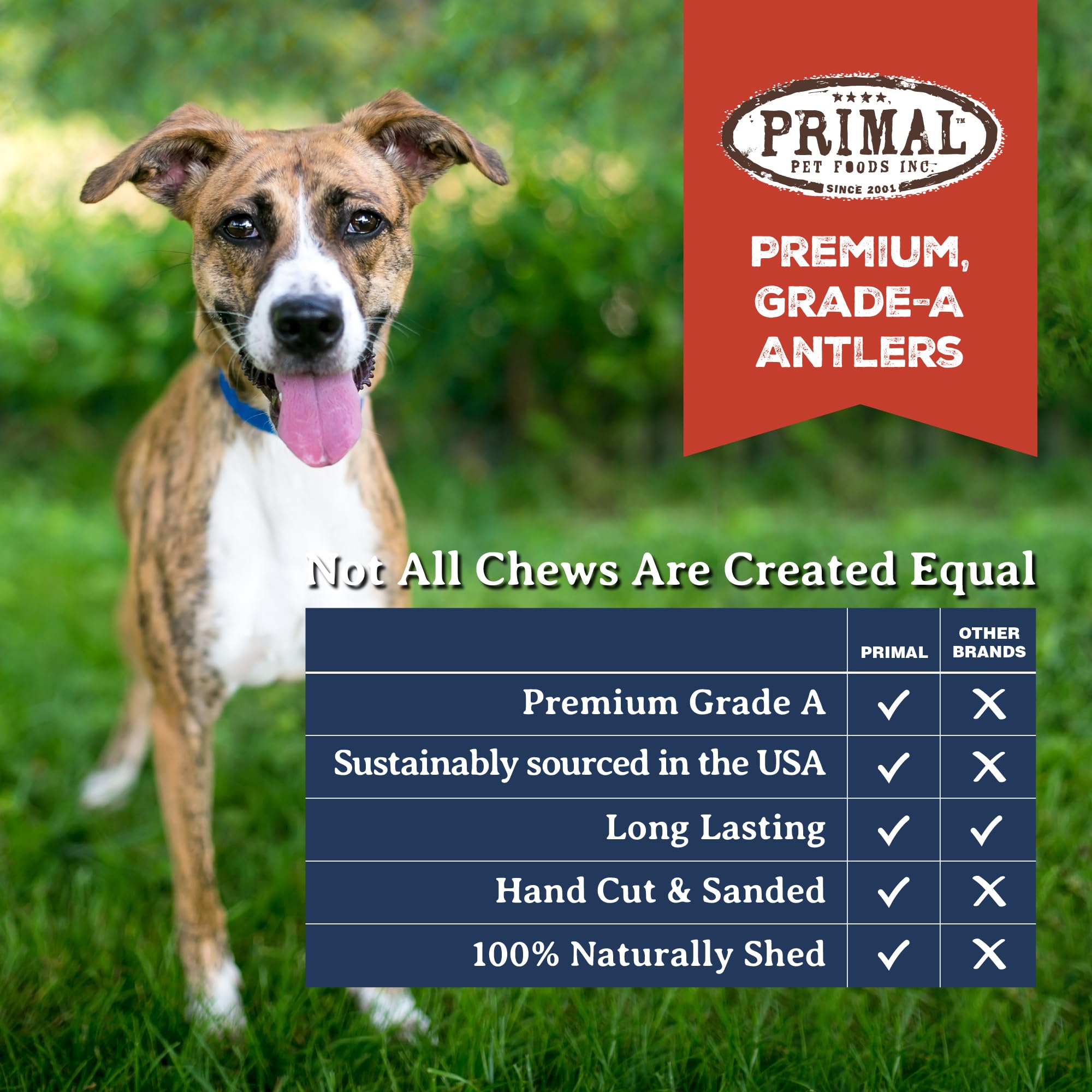 Primal Antlers for Dogs bone-marrow interior shown fordigestible enrichment.