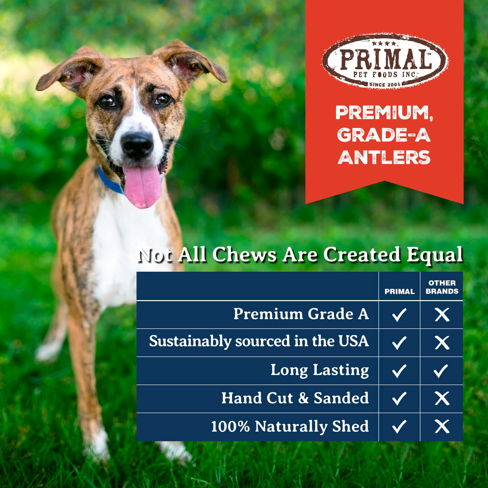 Primal Antlers for Dogs digestible bone marrow closeup emphasizes nutrient-rich chew.