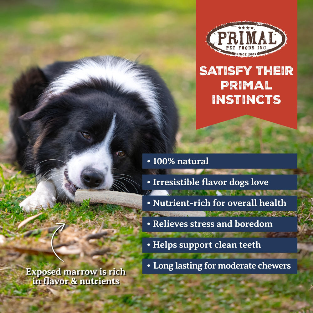 Primal Antlers for Dogs odor-free chew illustrating mess-free, convenient treat.