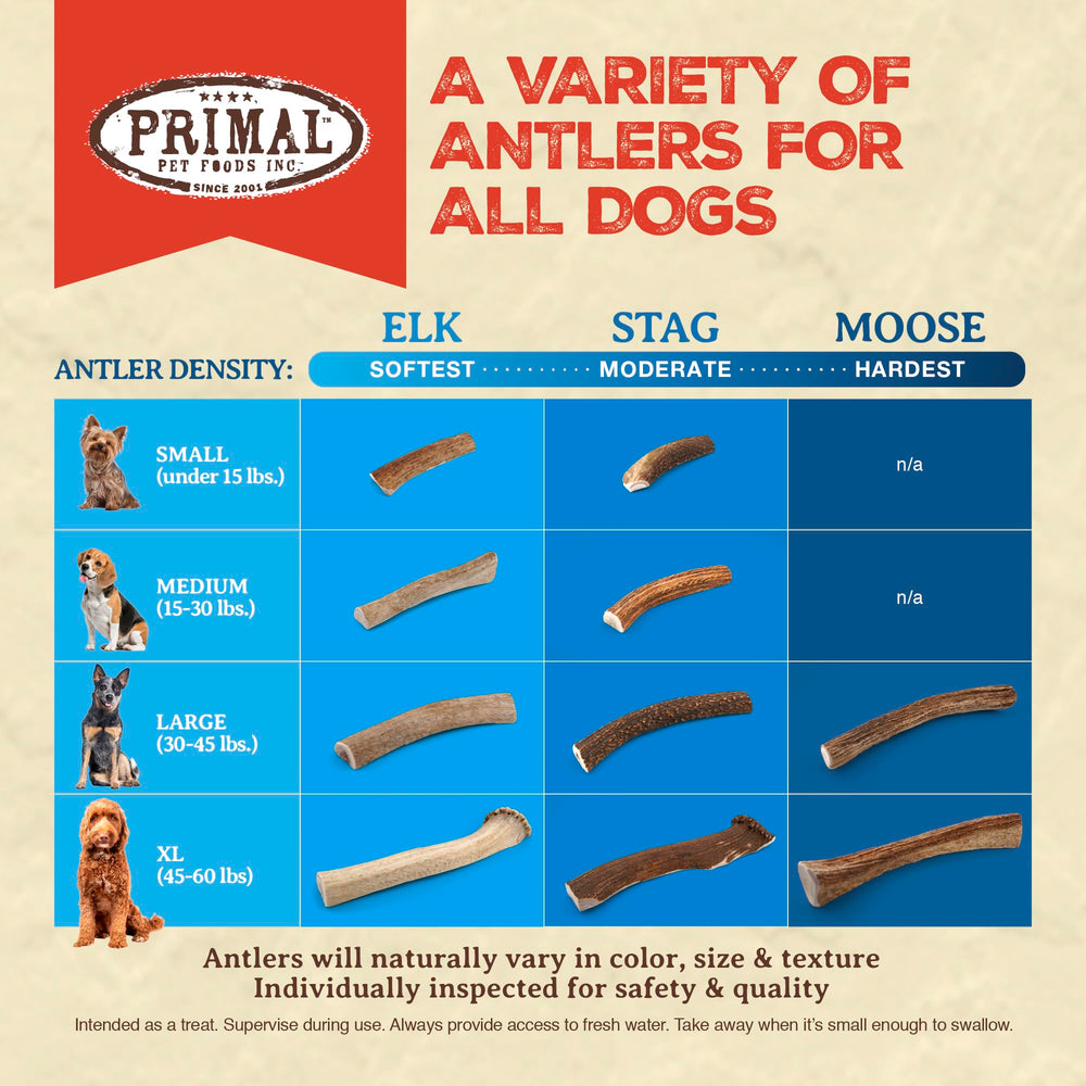 Primal Antlers for Dogs odor-free chew demonstrates mess-free chewing experience.