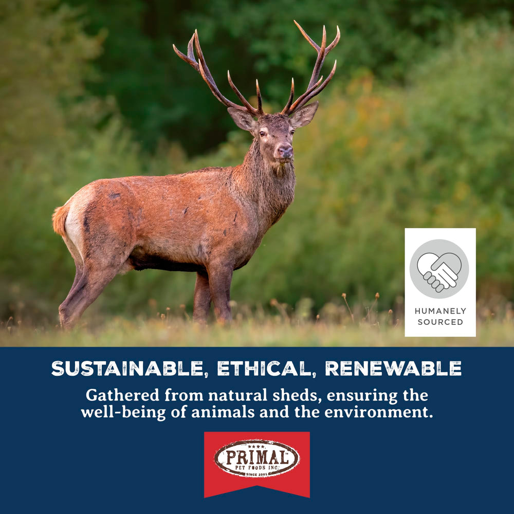Primal Antlers odor-free natural chew showcased with natural color variation