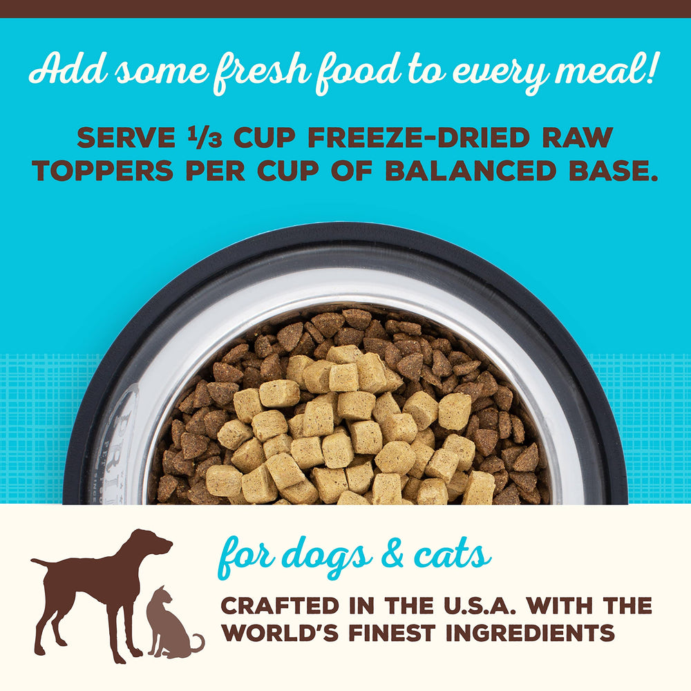 Primal Pet Foods freeze-dried cat treats close-up; crisp texture for training and treat time.