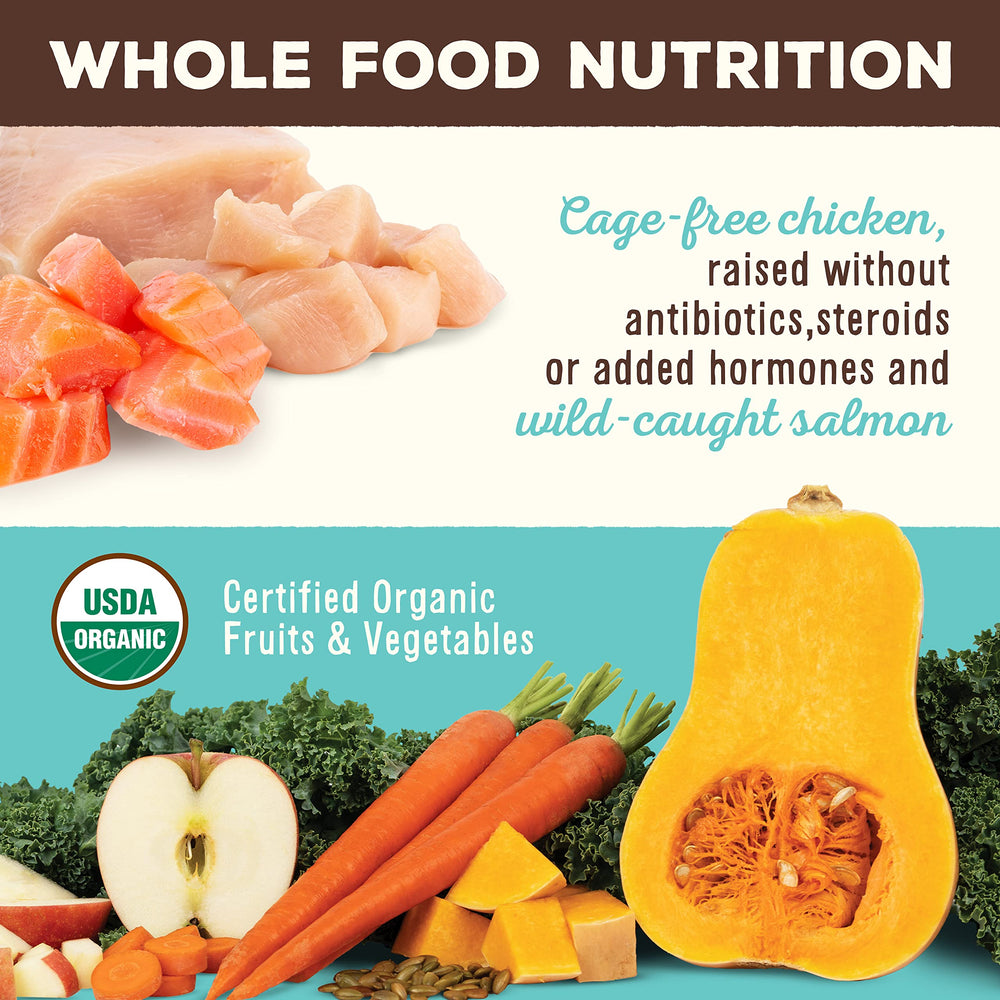 Primal Pet Foods ingredients display chicken, salmon, organic fruits and vegetables.