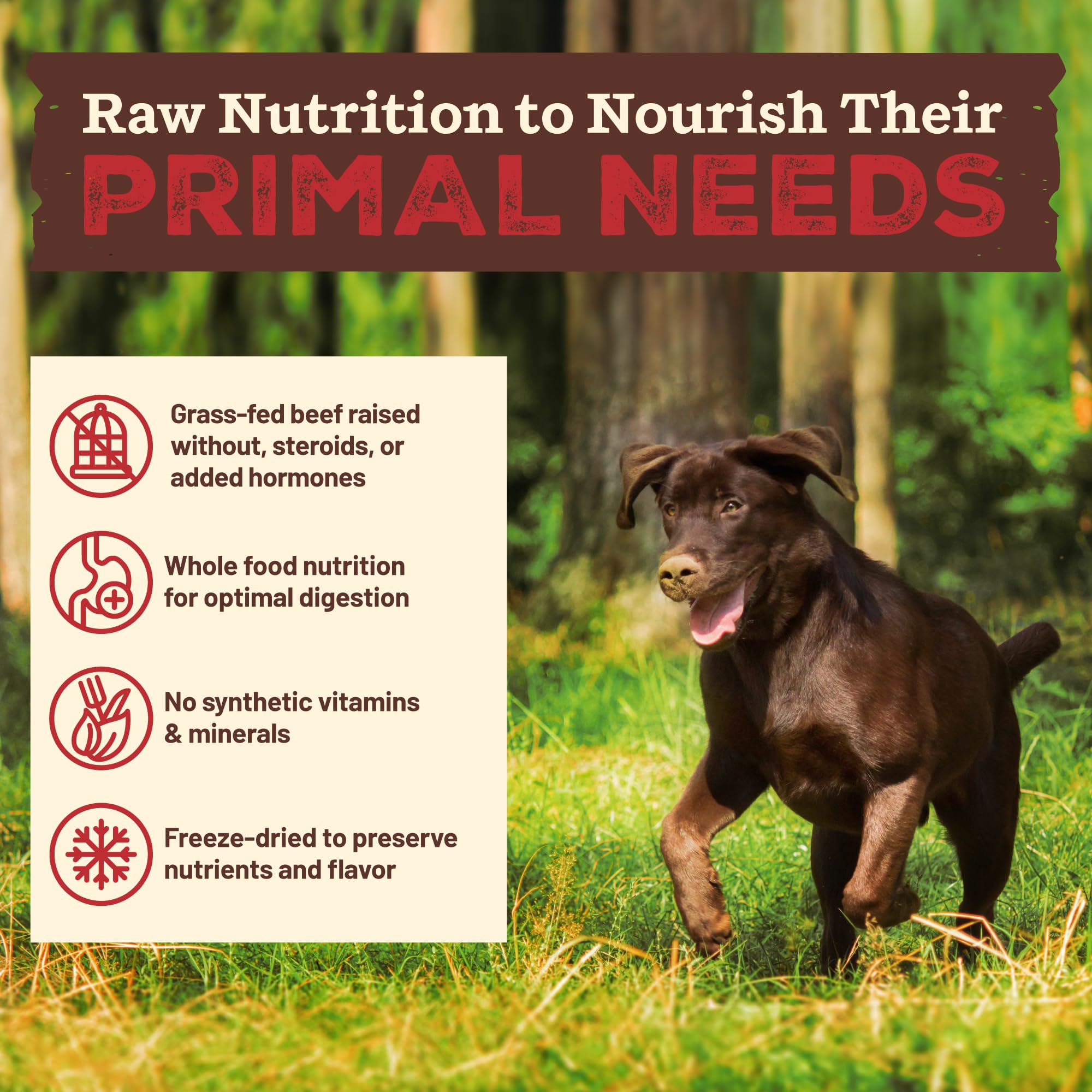 Primal Pet Foods Kibble in The Raw grass-fed beef detail signals high-quality protein.