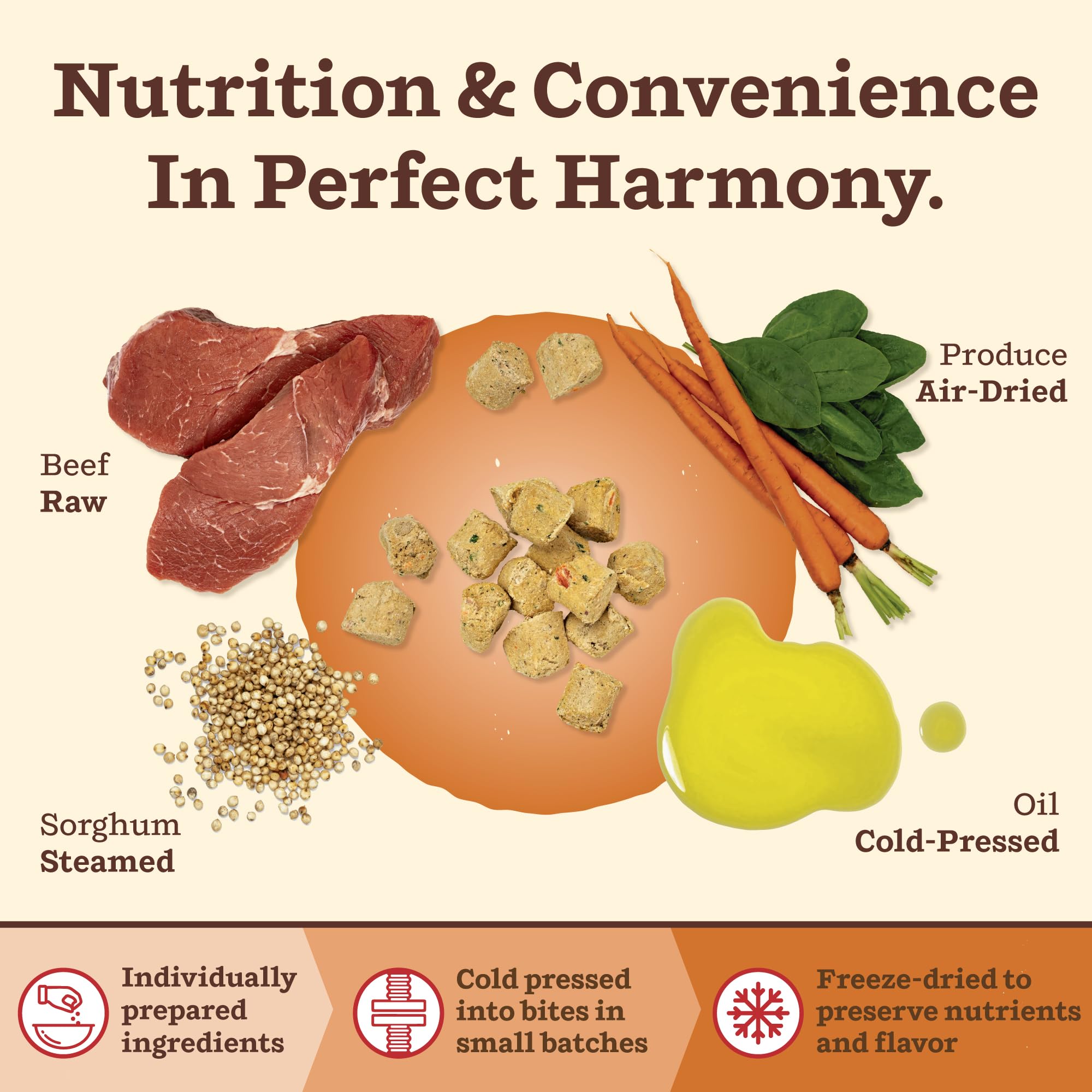 Primal Pet Foods Kibble in The Raw raw-protein closeup emphasizes nutrient-dense bites.