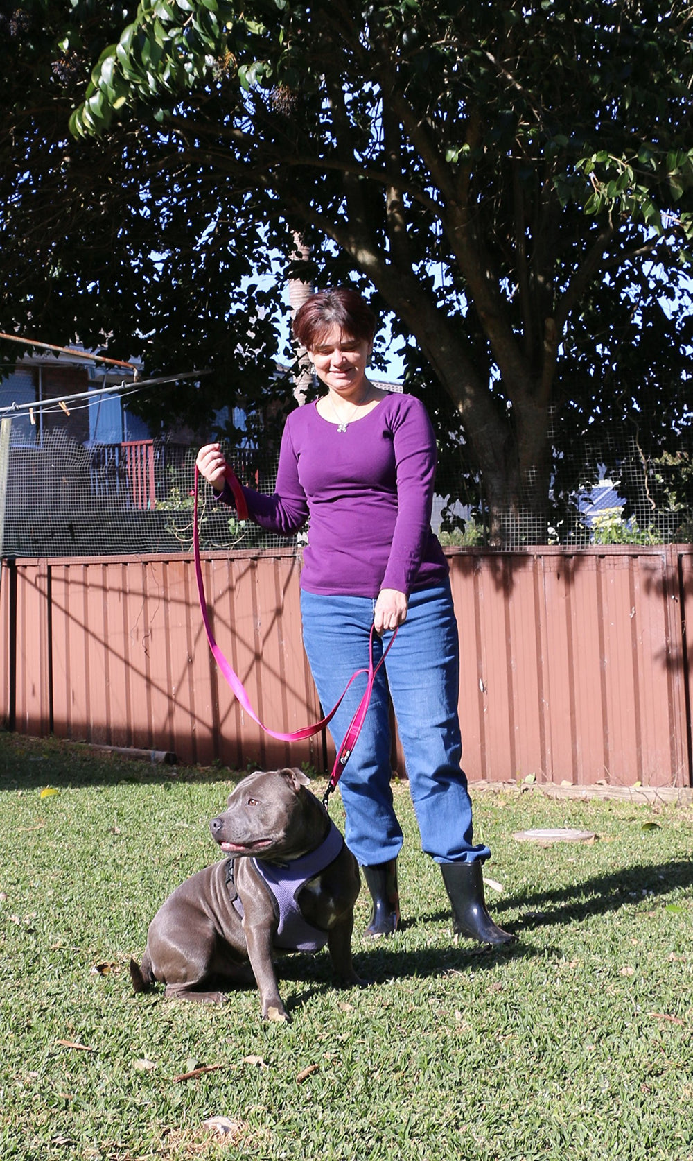 Primal Pet Gear leash showing reflective stitching for safer night-time visibility.