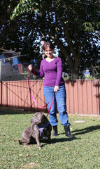 Primal Pet Gear leash showing reflective stitching for safer night-time visibility.