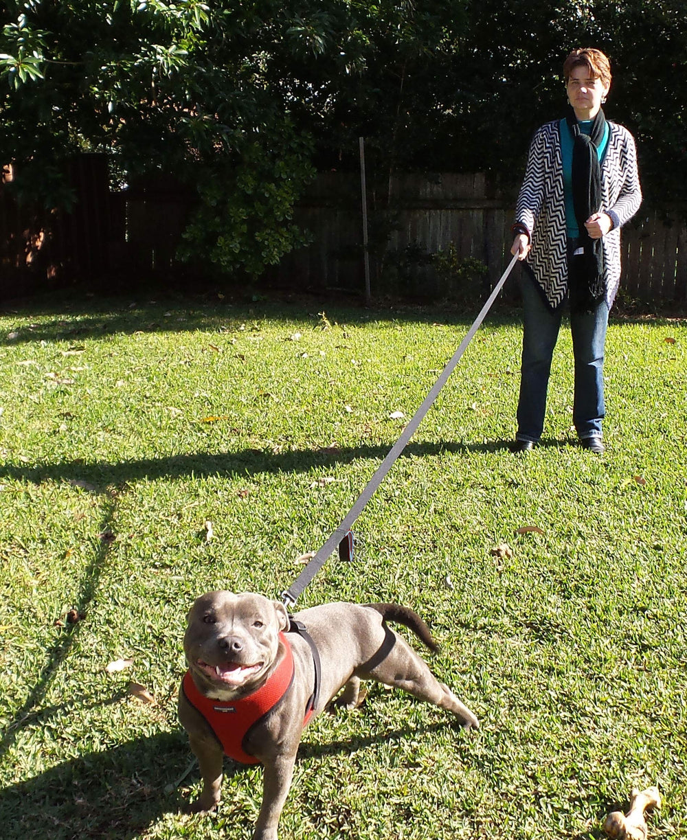 Primal Pet Gear gancho metálico fuerte mantiene a tu perro asegurado.