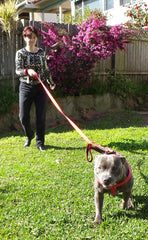 Primal Pet Gear heavy-duty nylon leash in red for daily adventures