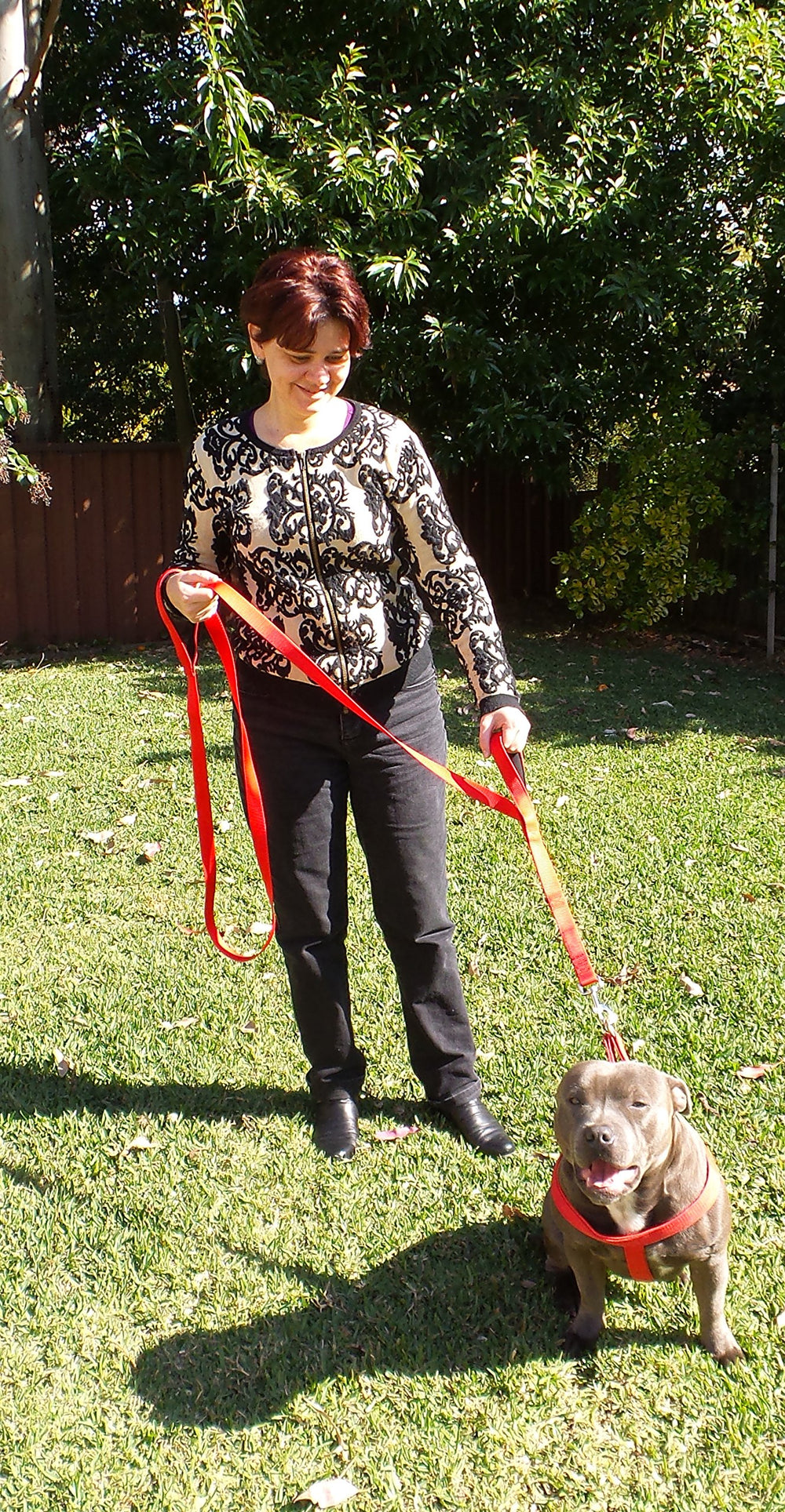Primal Pet Gear reflective stitching glows at night for better visibility