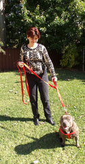 Primal Pet Gear reflective stitching glows at night for better visibility