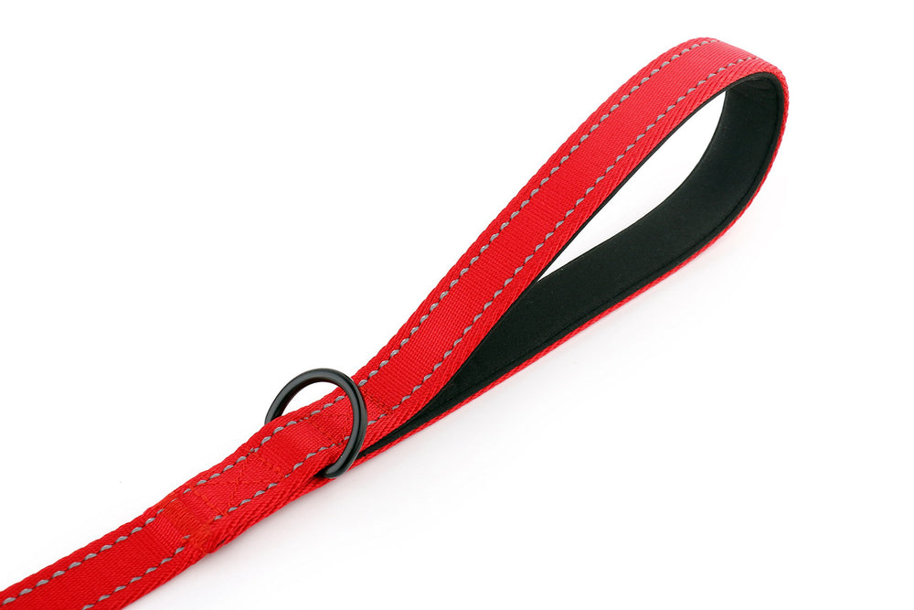 Primal Pet Gear padded handles during park walk reduce hand fatigue