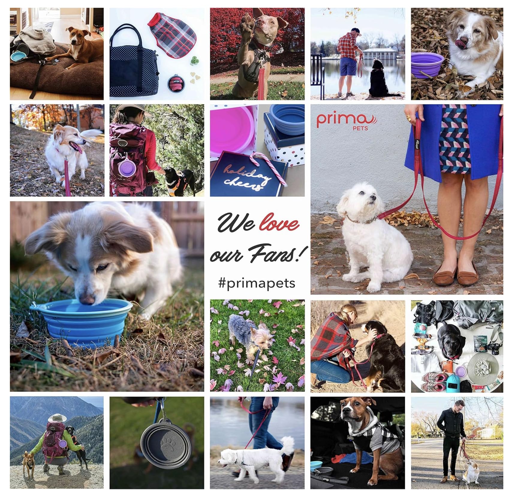 Prima Pets traffic handle close-up illustrating quick control in crowded areas