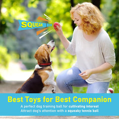 Prime Pets dog tennis balls yellow high-bounce for training.