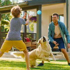 Prime Pets dog tennis balls multi-color variants improve tracking during training