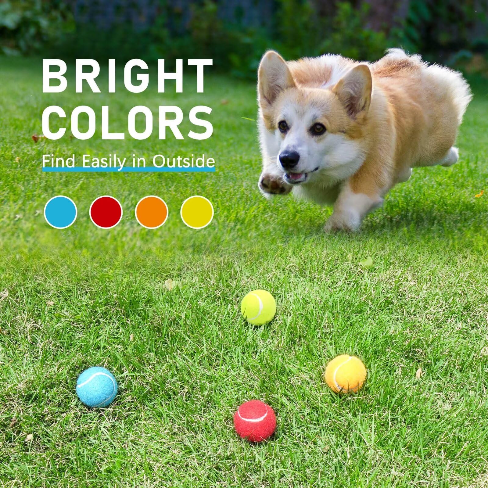 Prime Pets red ball with bright visibility for tracking during fetch.