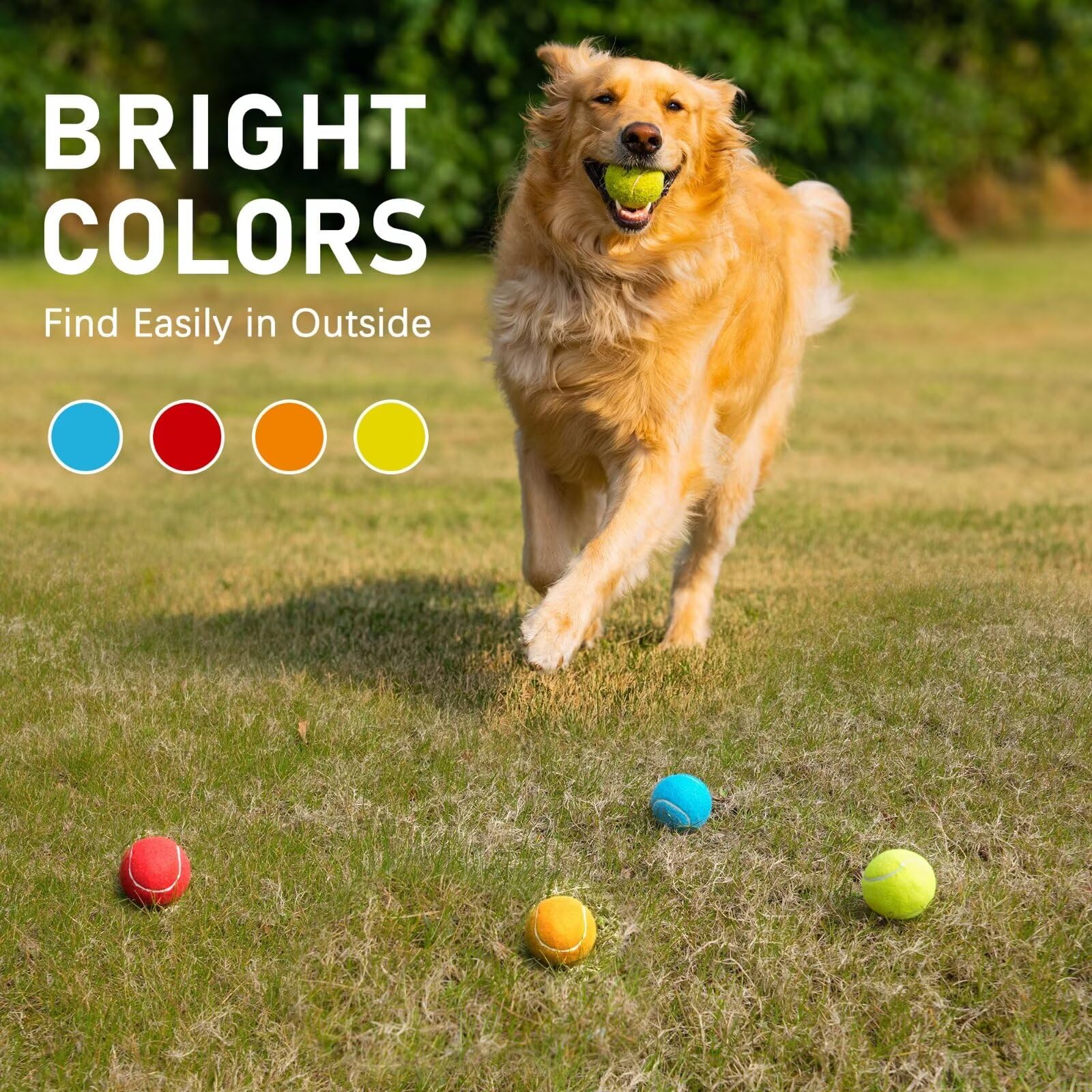 Prime Pets outdoor-friendly bounce ball ready for park, beach, or backyard sessions