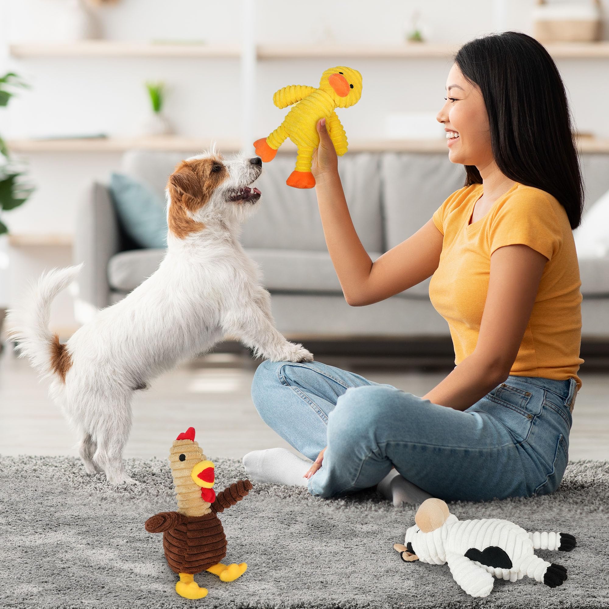 Prime Pets 5-pack dog toy bundle for versatile gifts