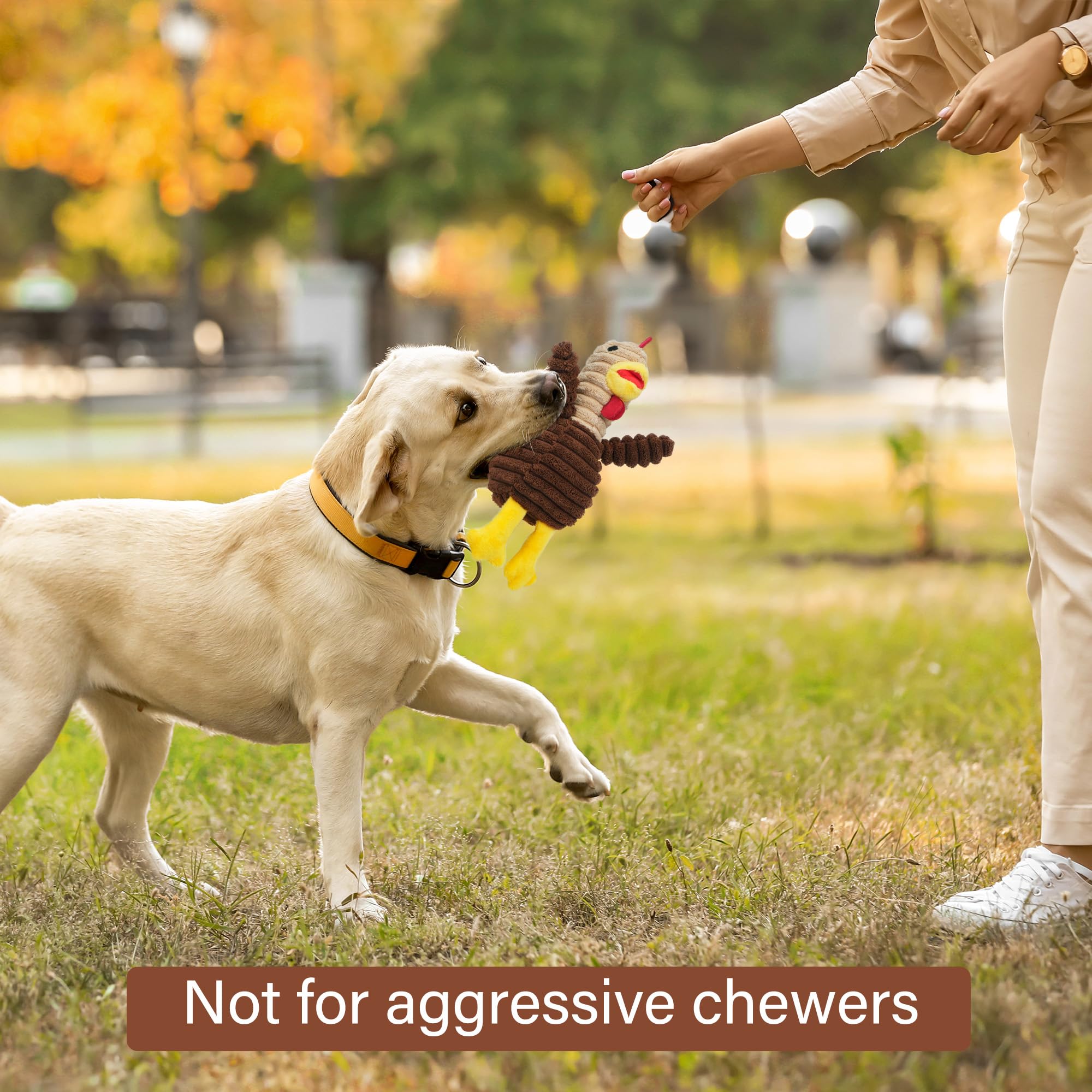 Prime Pets dog toy with squeaker inside for audible fun during games