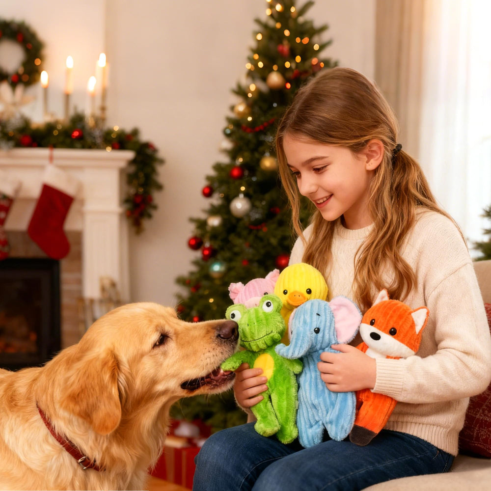 Prime Pets all five toys together for versatile at-home play.