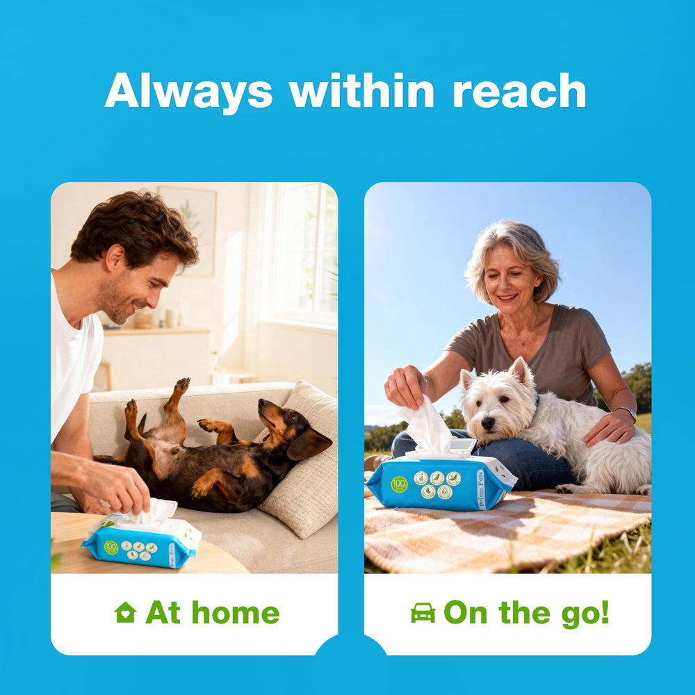 Prime Pets dog wipes between-baths image offers convenient odor control on trips.