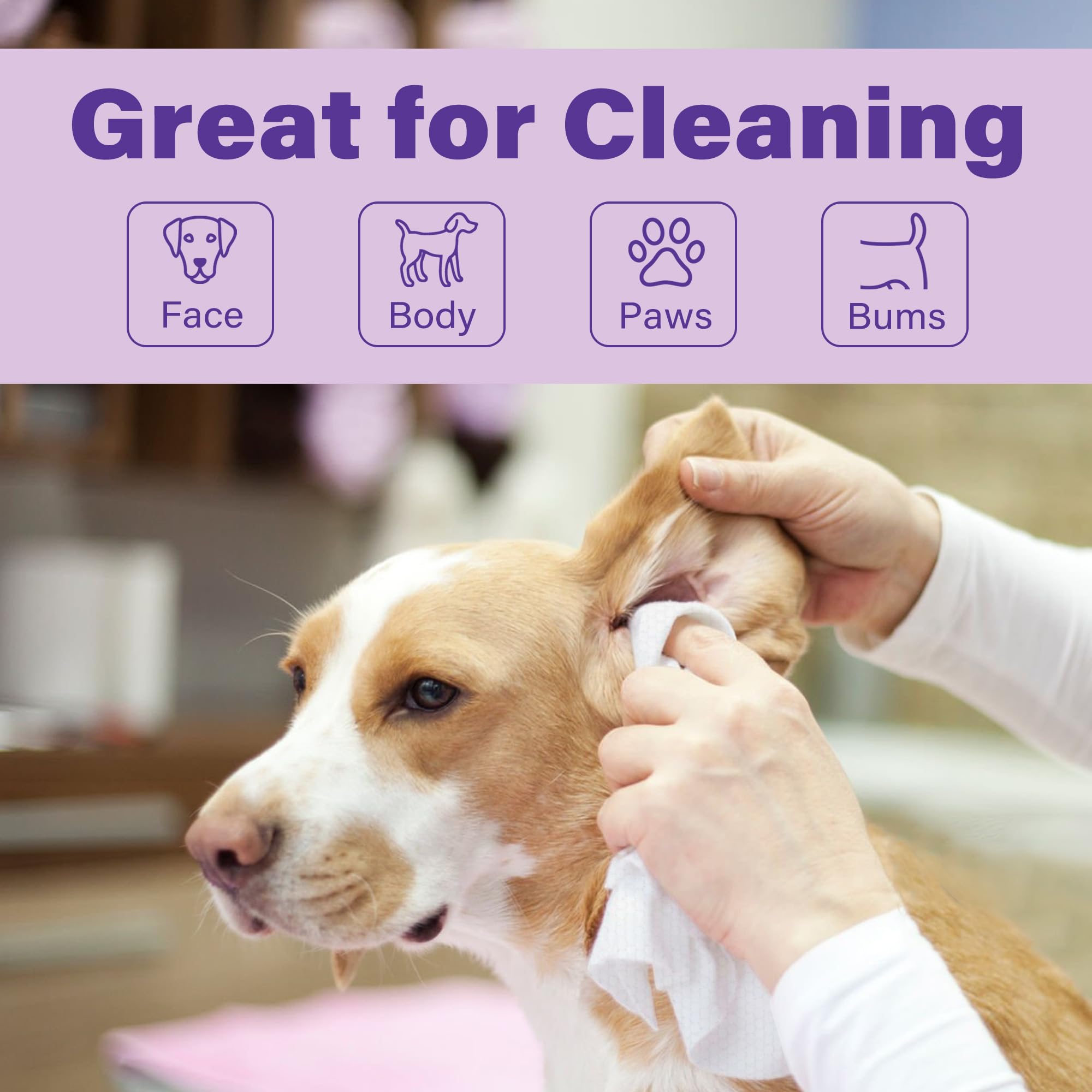 Prime Pets dog wipes for eyes safe wipe to remove dirt near eyes.
